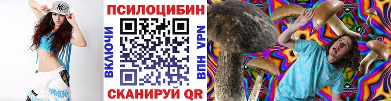 Псилоцибиновые грибы мухоморы  Чегем 
