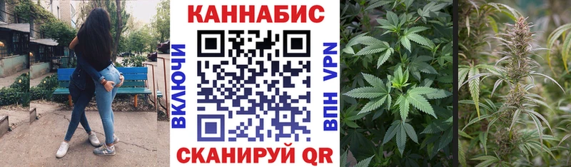 Канабис OG Kush  Чегем 